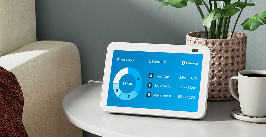 Smartphone tenu en main affichant une application mobile de suivi de consommation énergétique en français, avec graphique mensuel et indicateurs d'économies réalisées